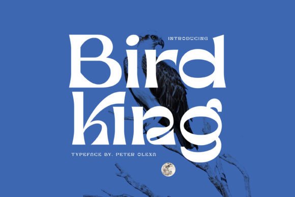 Bird King: A Playful Serif Font That Elevates Real Small Business Branding