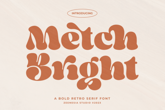 Metcha Bright: A Bold Serif Font for Modern Digital Brands