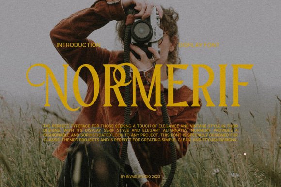 Normerif: A Serif Font That Makes Your Brand Feel Instantly Polished