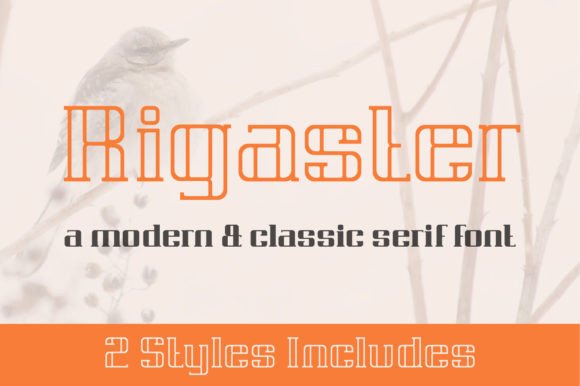 Rigaster: A Modern Serif Font That Elevates Digital Branding